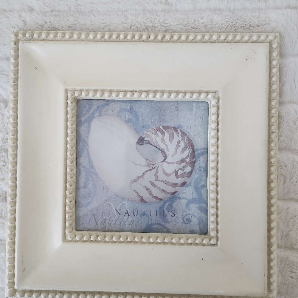 FRAMED SEASHELL PORTRAITS